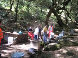 arbuda-270609 (11).html